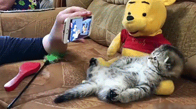 Other Funny Gifs Http Gif Tv Tumblr And You Video Other Funny Gifs Http Gif Tv Tumblr And You Video Https Www Watch V Qqkw5m0i Qc