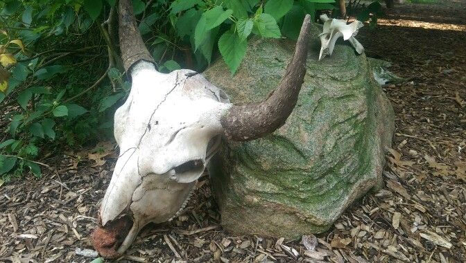 Wild Winds Buffalo Preserve In Fremont Indiana Garden Sculpture