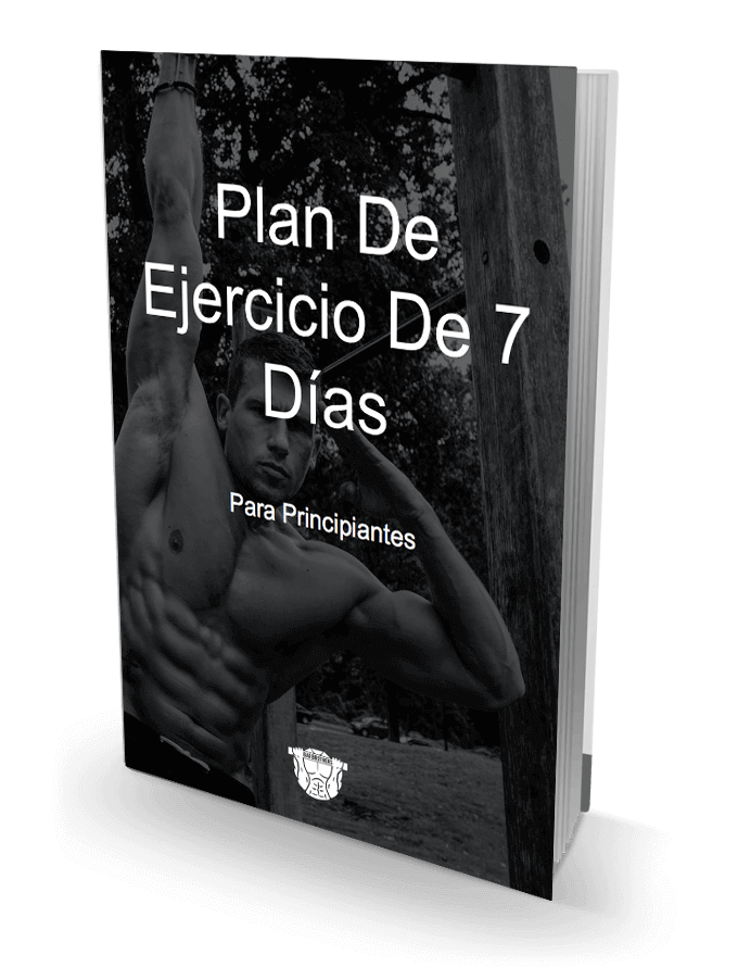 Rutina para gimnasio hombre pdf