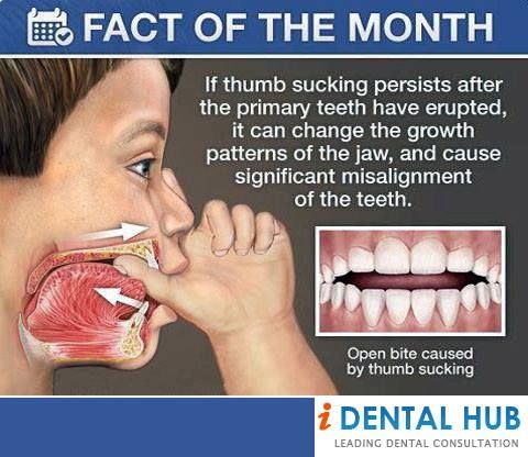 Thumb Sucking Thumb Sucking