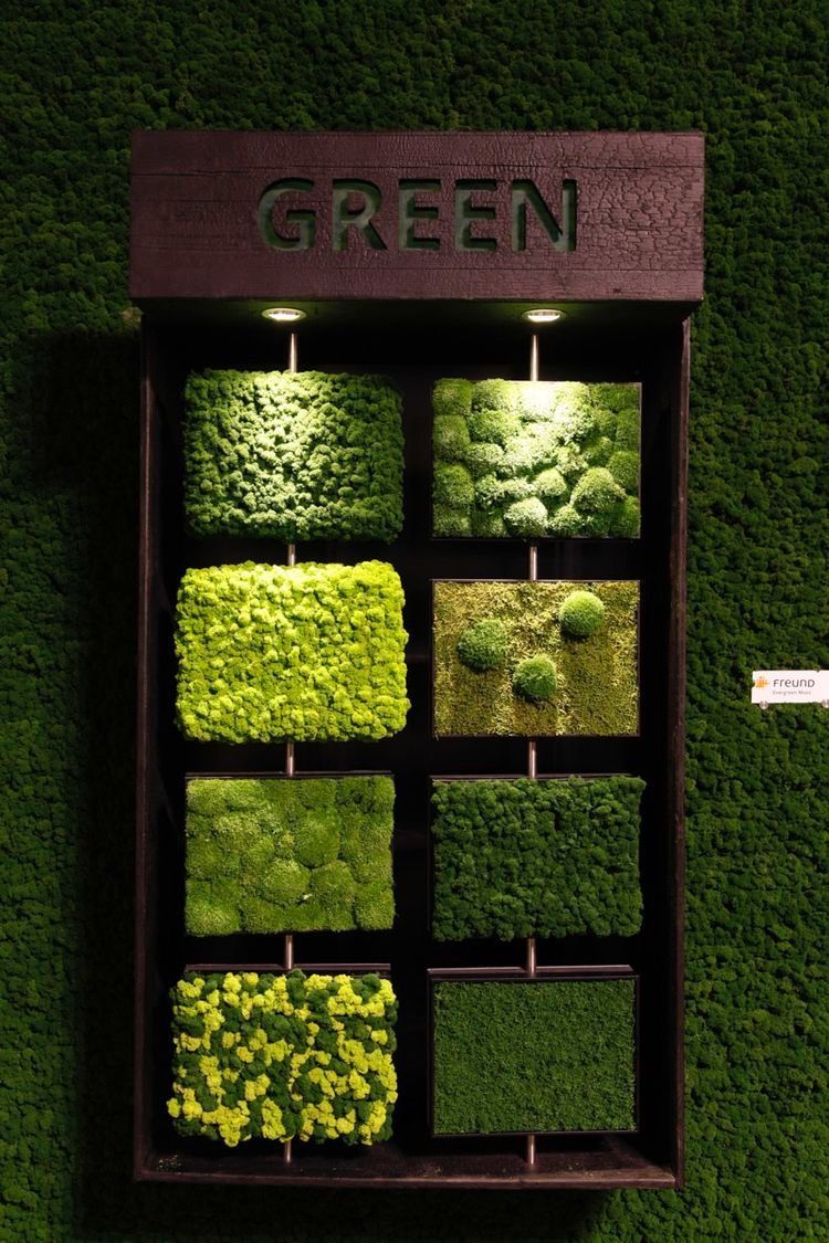 Ces jardins pas du tout sont foulée seulement nonobstant ces pelouses puis les ...