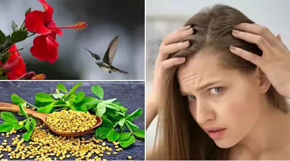 Diy Hibiscus Hair Oil For Hair Growth And Amazing Hair Hair Growth Oil Diy Hair Oil Hair Remedies For Growth