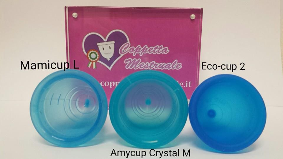 Diameter Differences Mamicup Amycup Crystal And Eco Cup Https