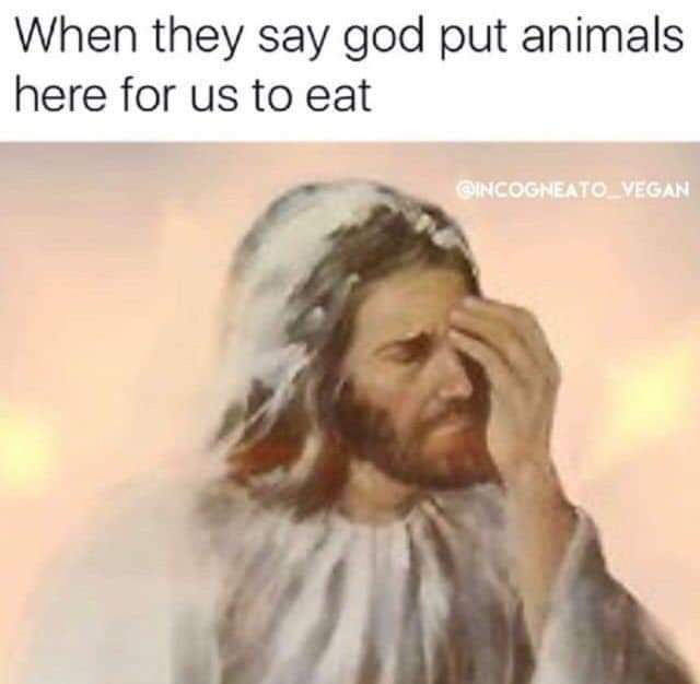VEGAN MEMES #veganhumor