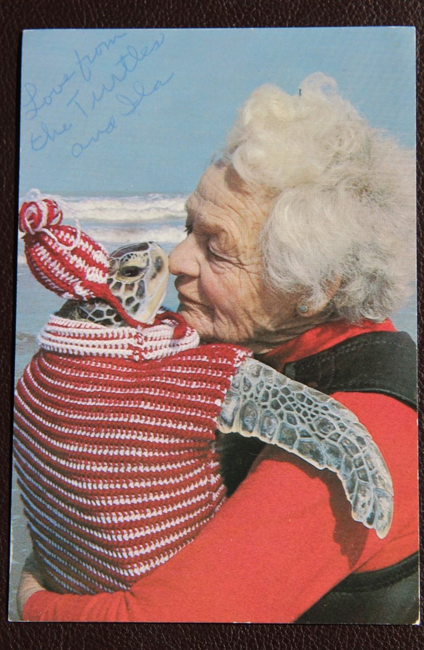 Sea Turtle Lady South Padre Island Sea Turtle Lady South Padre Island