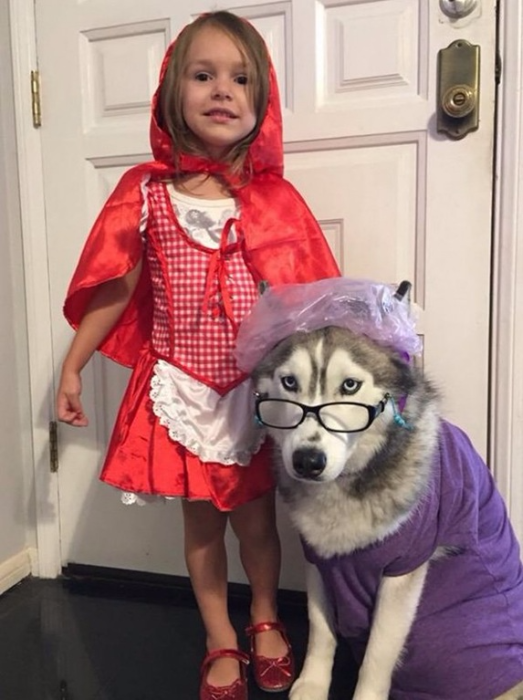 Red Riding Hood Costume With Wolf Grandma Husky Cute Halloween Costumes For Kids Costumi Di Carnevale Idee Per Costumi Cuccioli Di Carlino