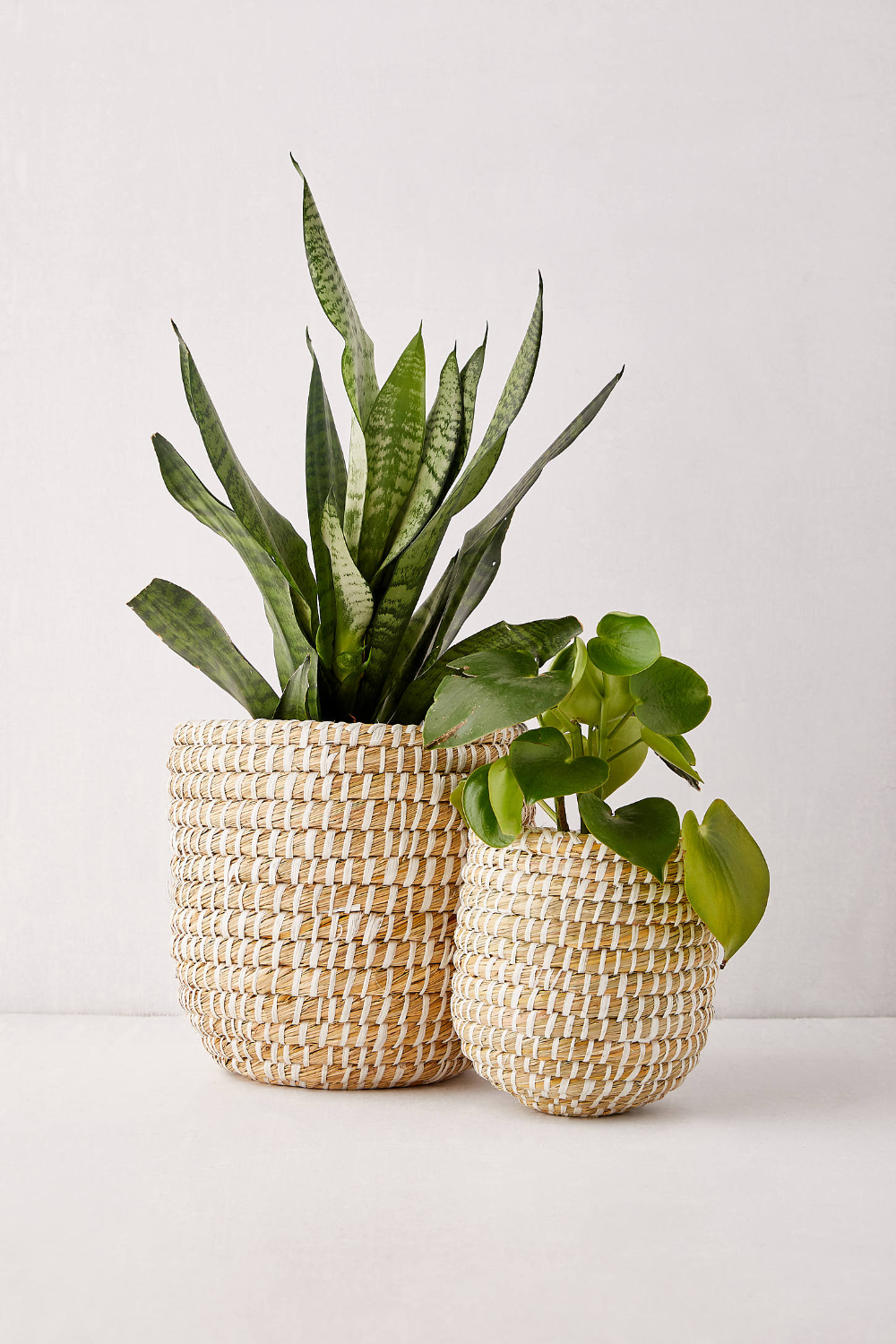 Dia Natural Basket Planter Dia Natural Basket Planter