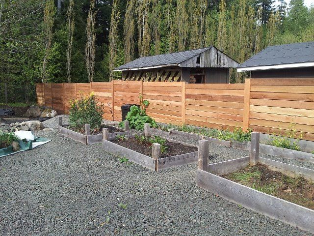 Capital Lumber 1 In X 6 In X 6 Ft Gorman Pine Tongue And Groove Siding 6 Pack Tongue And Groove Decorative Wall Panels Wood