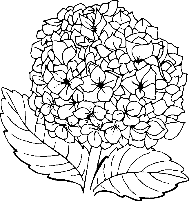 Coloriage Fleurs Et Plantes Flower Coloring Pages Coloring Pages For Girls Free Online Coloring