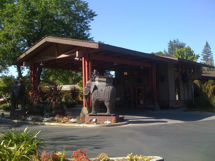 Coiour My World Mid Winter At Dinah S Garden Hotel A Lush Oasis In Palo Alto The Heart Of California S Beautiful Gardens Dream Garden Beautiful Backyards