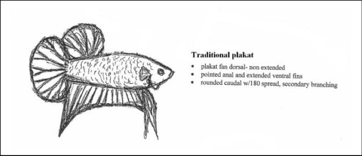 Hmpk And Plakat Standard Page 2 Betta Breeding Betta Standard