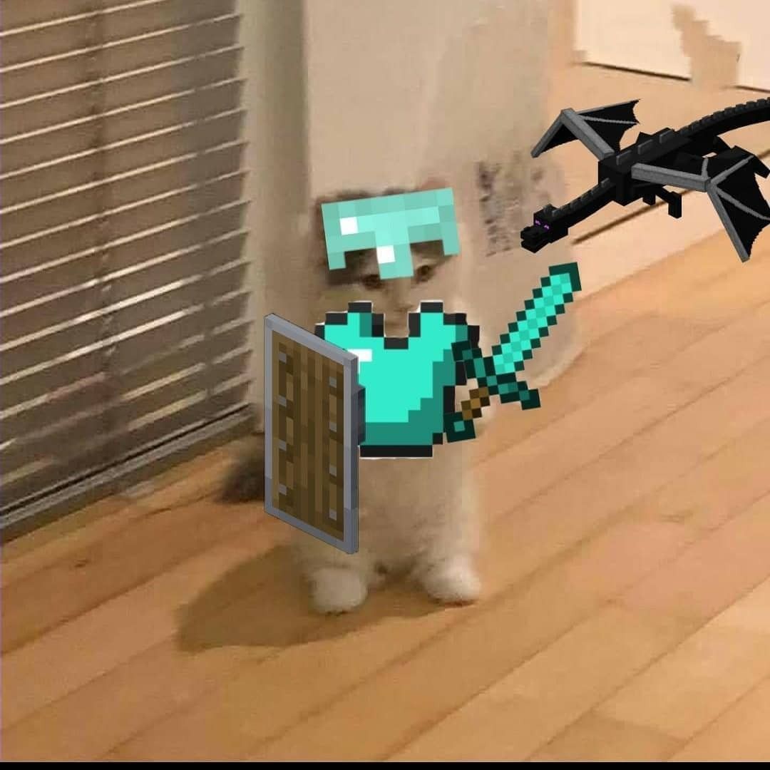 Minecraft boi Minecraft boi