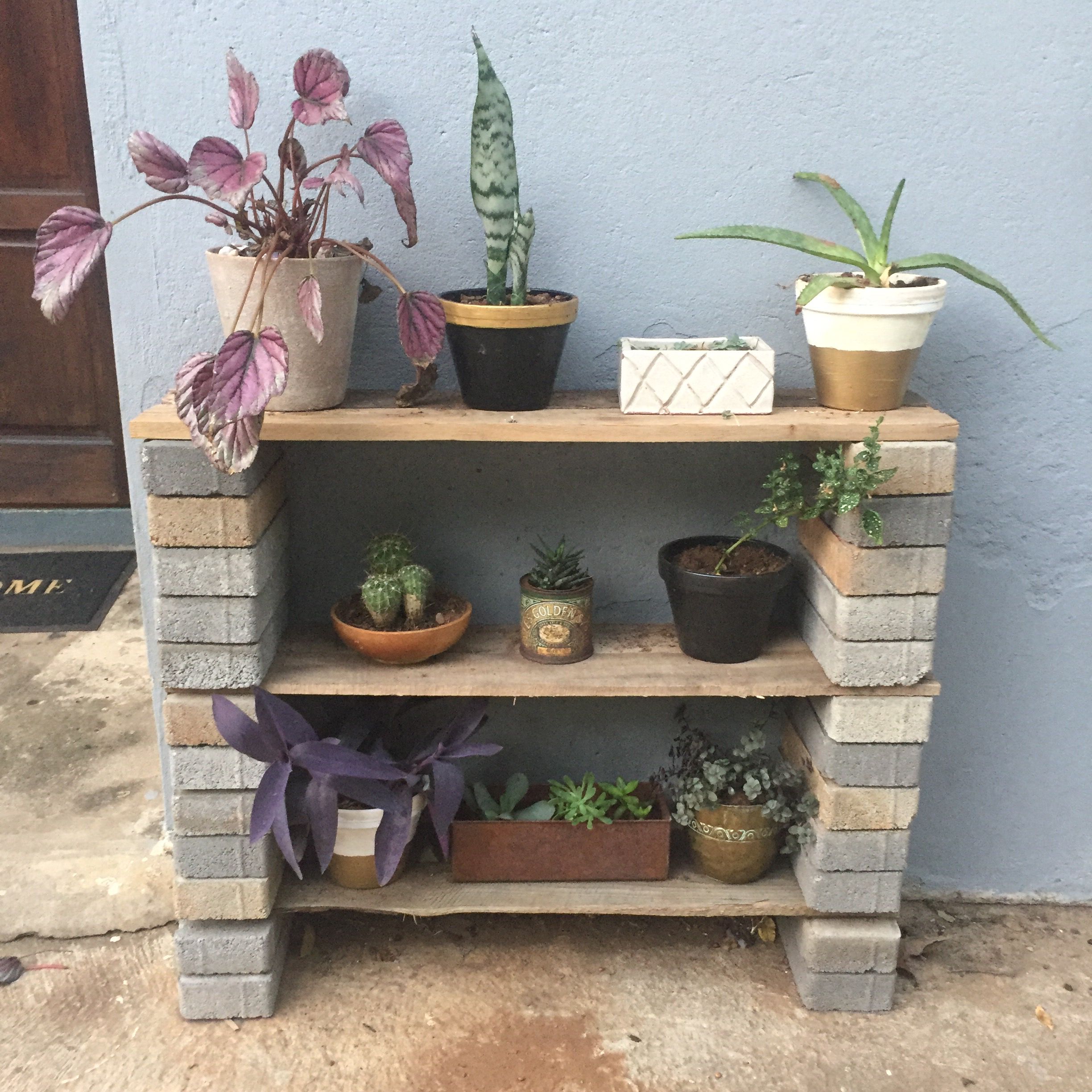 Plant Bookshelf