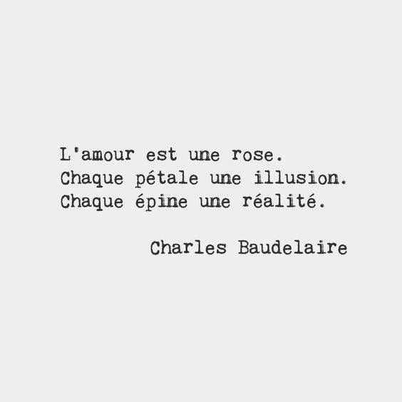 Love Is A Rose Each Petal Is An Illusion Each Thorn Is A Reality Citations D Amour Francais Mots Francais Citation Love Is A Rose Each Petal Is An Illusion Each Thorn Is A Reality Citations D Amour Francais Mots Francais Citation