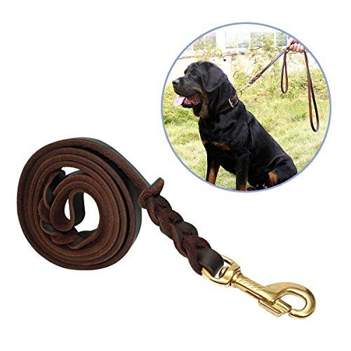 Focuspet Leather Dog Leash 6 Ft Leather Dog Training Leash Pet
