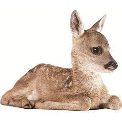 KEK Amsterdam Forest Friends Muursticker - Hert - Overige woonaccessoires #woonaccessoires 10x leukste kinderkamers uit onze binnenkijkers boordevol inspiratie - Alles om van je huis je Thuis te maken | HomeDeco.nl #woonaccessoires