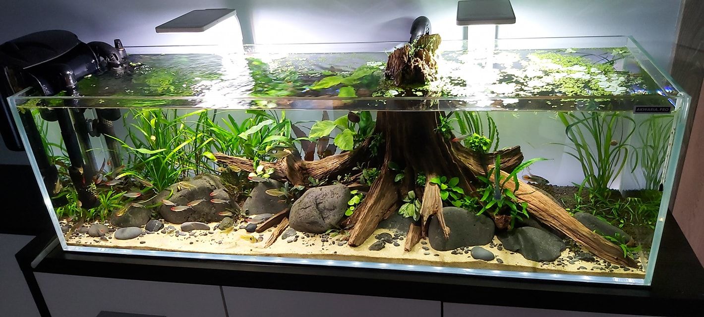 Aquarium Design Software