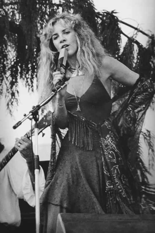 stevie nicks hair