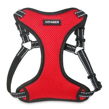 Voyager By Best Pet Supplies Fully Adjustable Step In Dog