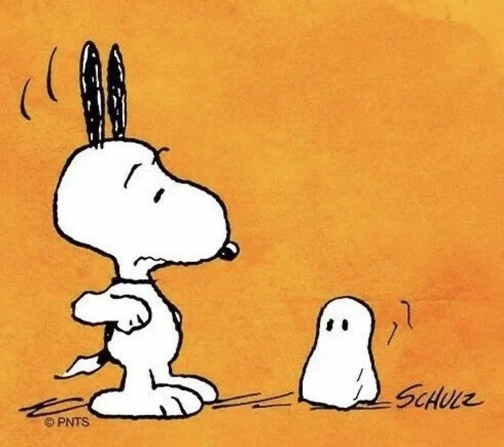 Snoopy Halloween, Fall Halloween, Snoopy Images, Snoopy Pictures, Charlie Brown Christmas, Charlie Brown And Snoopy, Woodstock Snoopy, Snoopy Tattoo, Snoopy Wallpaper