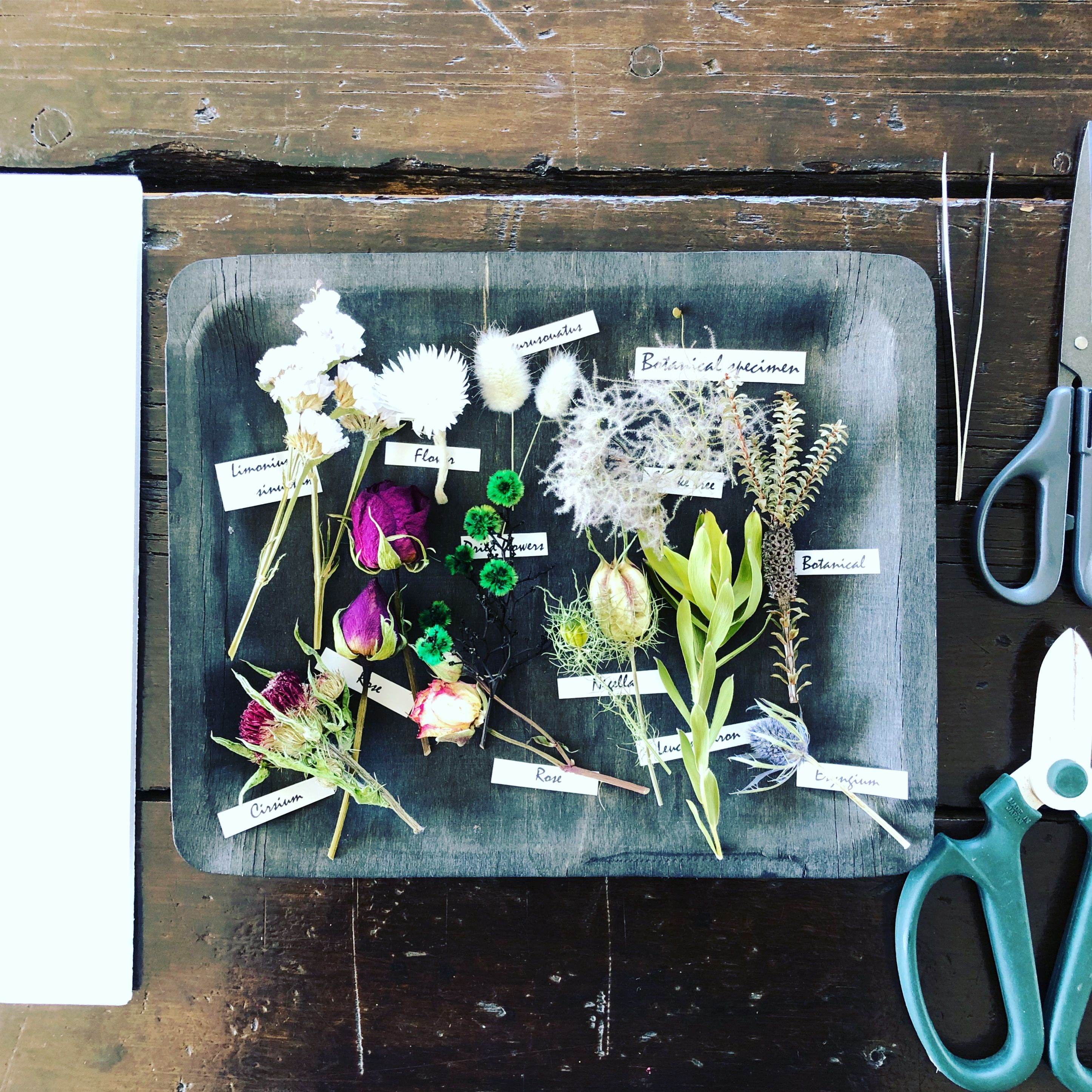 Botanica Flowerschool On Instagram 7月 1dayレッスン Botanica Flowerschool On Instagram 7月 1dayレッスン