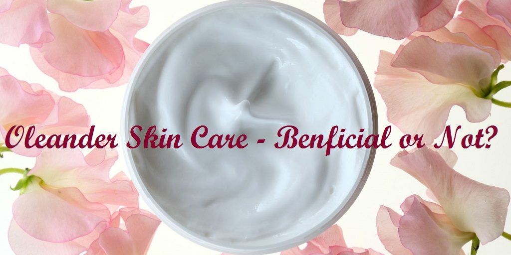 oleander anti aging
