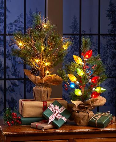 Lighted Tabletop Trees Xmas Decor Christmas Holiday Add A Bit Of Country Charm To Your Holiday Display With This Lighted Tabletop Tree It S Perfectly Sized For Smaller Es And Tablescapes