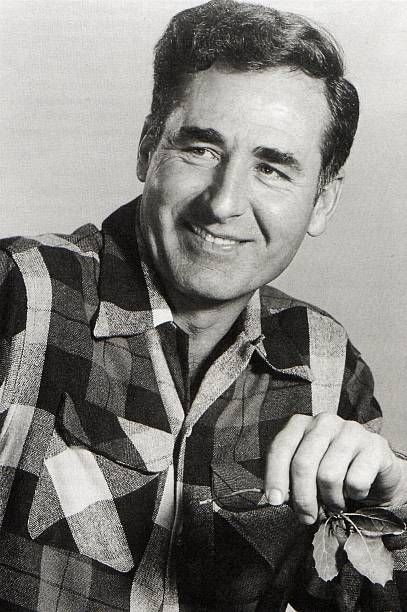 sheb wooley 1958 14 june 1958 top 3 s usa singles charts uk pop charts 1958