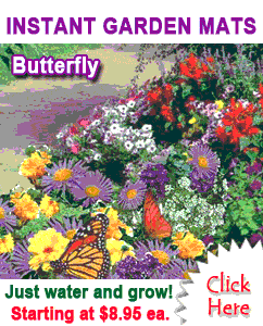Instant Garden Mats Click Here Rush Industries Books Worth Instant Garden Mats Click Here Rush Industries
