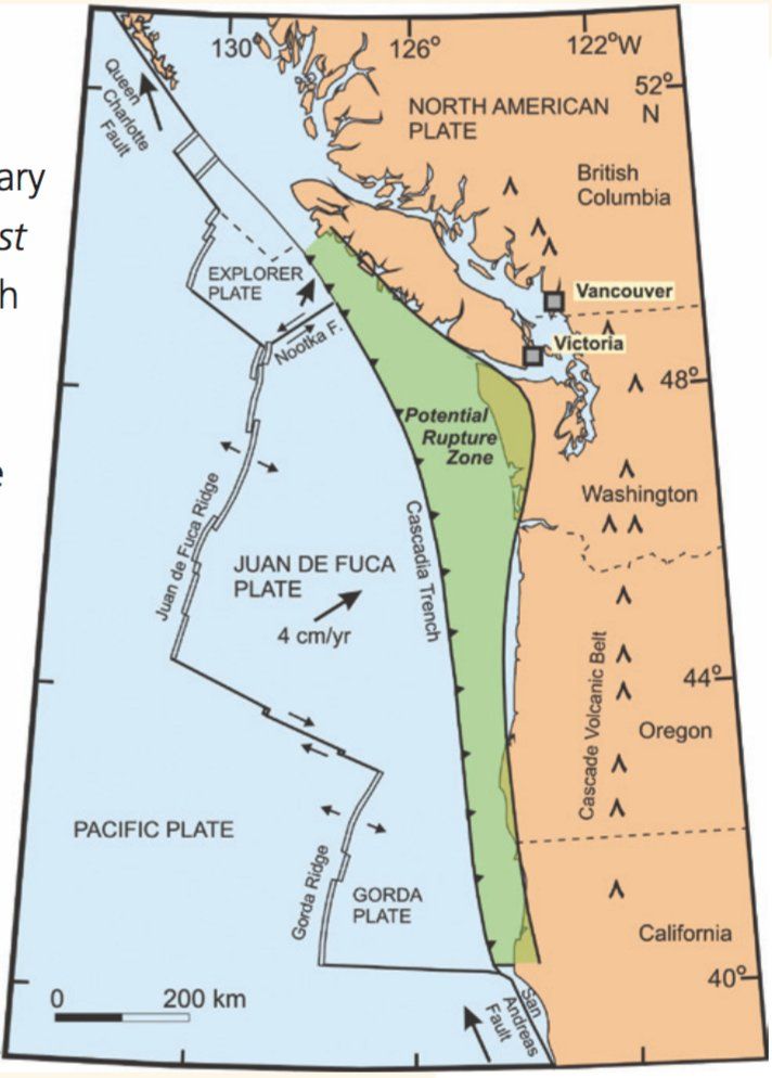 new information on the cascadea fault new information on the cascadea fault