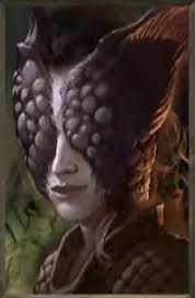 pillars of eternity portraits human warrior pillars of eternity portraits human warrior