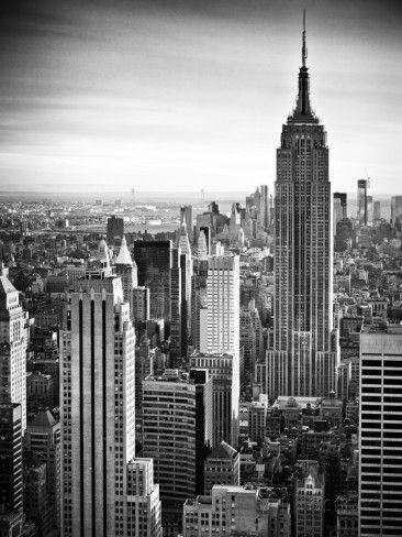 Schwarz aus nyc 50+