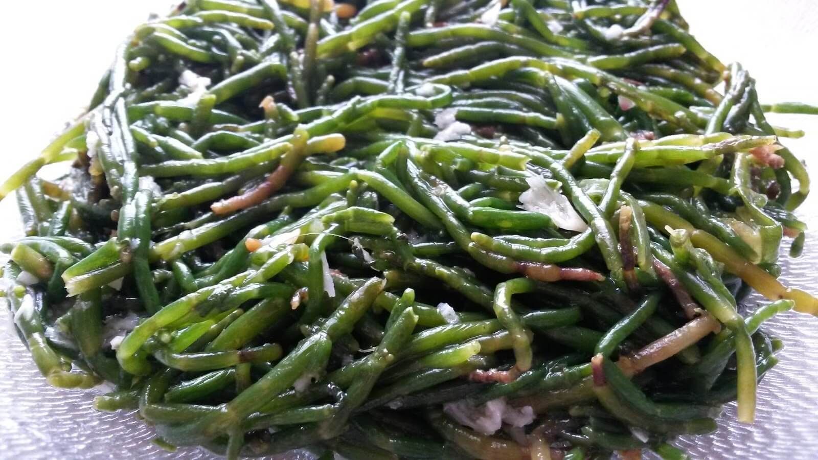 Deniz Borülcesi Salatası Tarifi Videosu Deniz Borülcesi Salatası Tarifi Videosu