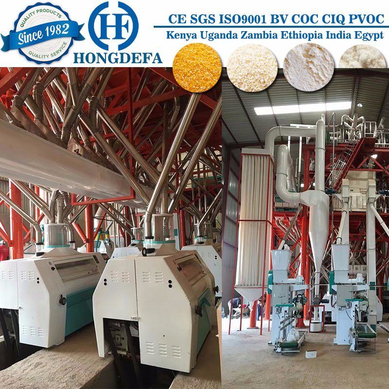 100t Per 24h Maize Milling Machine for Zambia Kenya #maizemillingmachine #maizemillingmachinery #maizemillingfactory #maizemillingplant #maizemillingline #maizemillingproduction #maizemillingsupplier #maizemillingmanufacture #hongdefa Vanisa Li +86 138 3346 1840 (whatsapp/wechat) www.maizewheatmill.org Flour Mill Machine, Fine Flour, Milling Machines, Maize, Tonne, Wheat Flour, Zambia, Uganda, Machinery