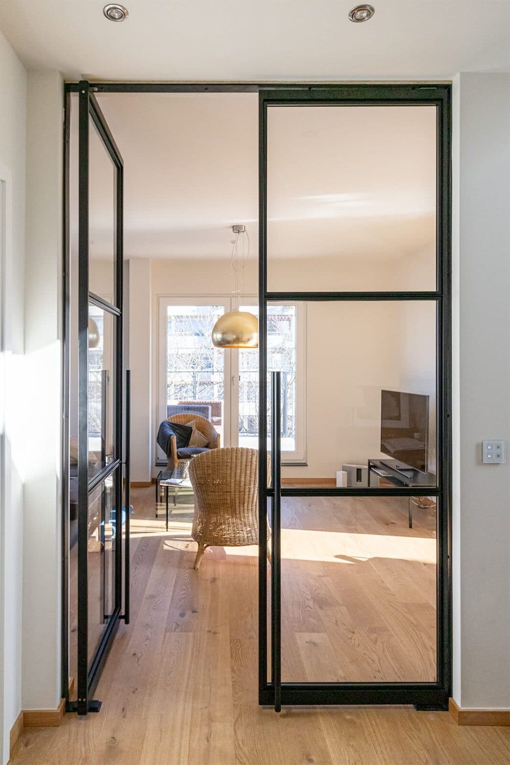 Design steel loft pivot door – double door – swing door