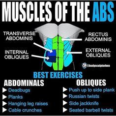 Many gym goers tend to focus on the external core muscles such as the rectus abdominus and the external obliques which is completely understandable. However it is also highly important to work on core stability and developing the deeper muscles of the core (transverse abdominus and internal obliques). When your core is strong everything else falls into place and will make you less prone to injury. This is particularly important for gym goers when performing bigger compound lifts. Many gym goers Put On Weight, Trying To Lose Weight, Ways To Lose Weight, Get Abs Fast, How To Get Abs, Flavored Water Drinks, Compound Lifts