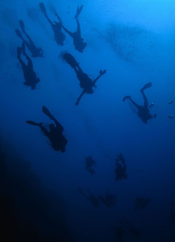 Great blue hole belize diving can Great blue hole belize diving
