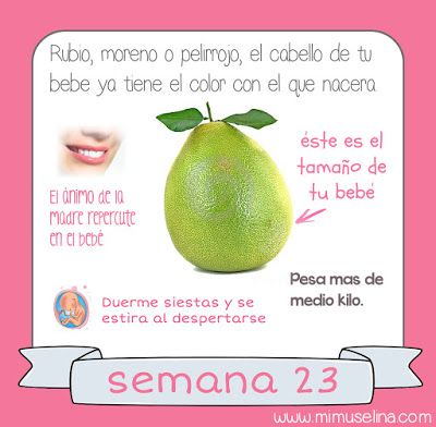 fotos de bebe de 23 semanas de embarazo fotos de bebe de 23 semanas de embarazo