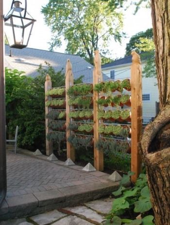 separador2 Les jardins non sont enjambée seulement nonobstant ces pelouses...