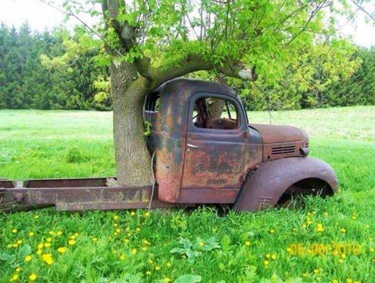 Classic Cars Forgotten On Farm Up For Sale Classic Cars Forgotten On Farm Up For Sale
