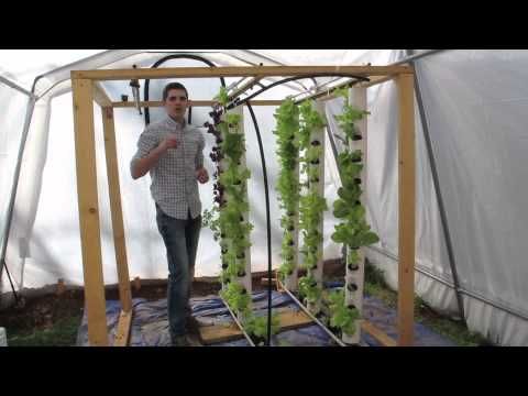outdoor shrimp broostock tanks