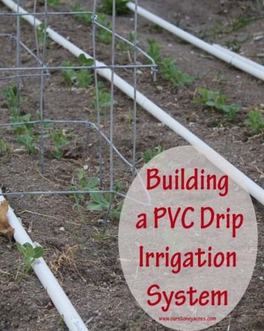 Pvc Drip Irrigation System For Your Garden Vegetable Build Your Own Pvc Drip Irrigation System