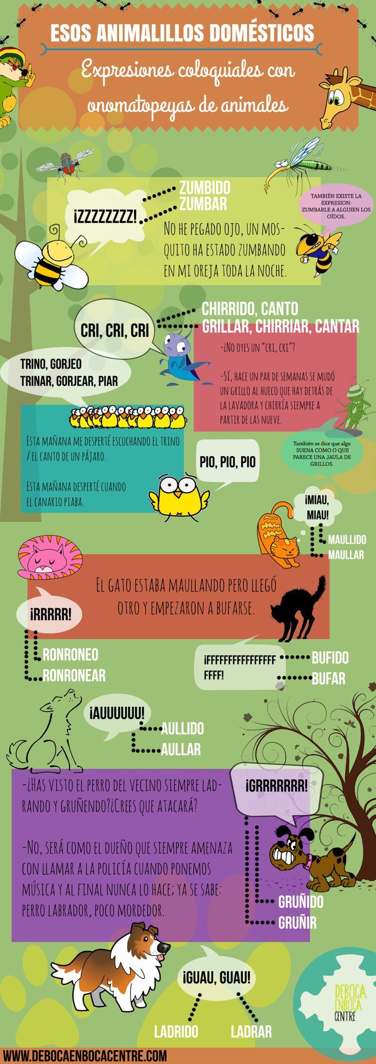 expresiones con animales spanish lesson