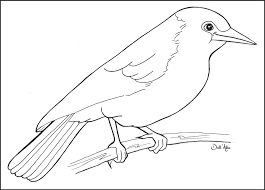 resultado de imagem para desenho de tatu com filhotes para colorir