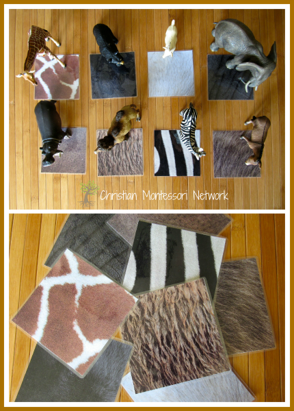 Hands-on Learning about Animals – Creation Series – Christian Montessori Network Hands-on Learning about Animals – Creation Series – Christian Montessori Network