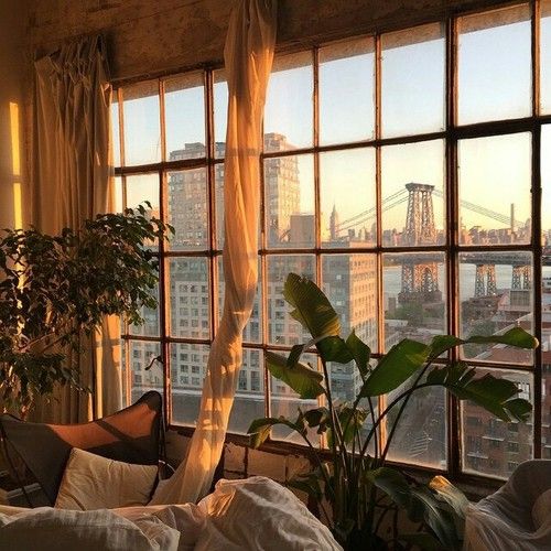 City Plants And Sun Image Bohemian Interiors Dream Apartment City Plants And Sun Image