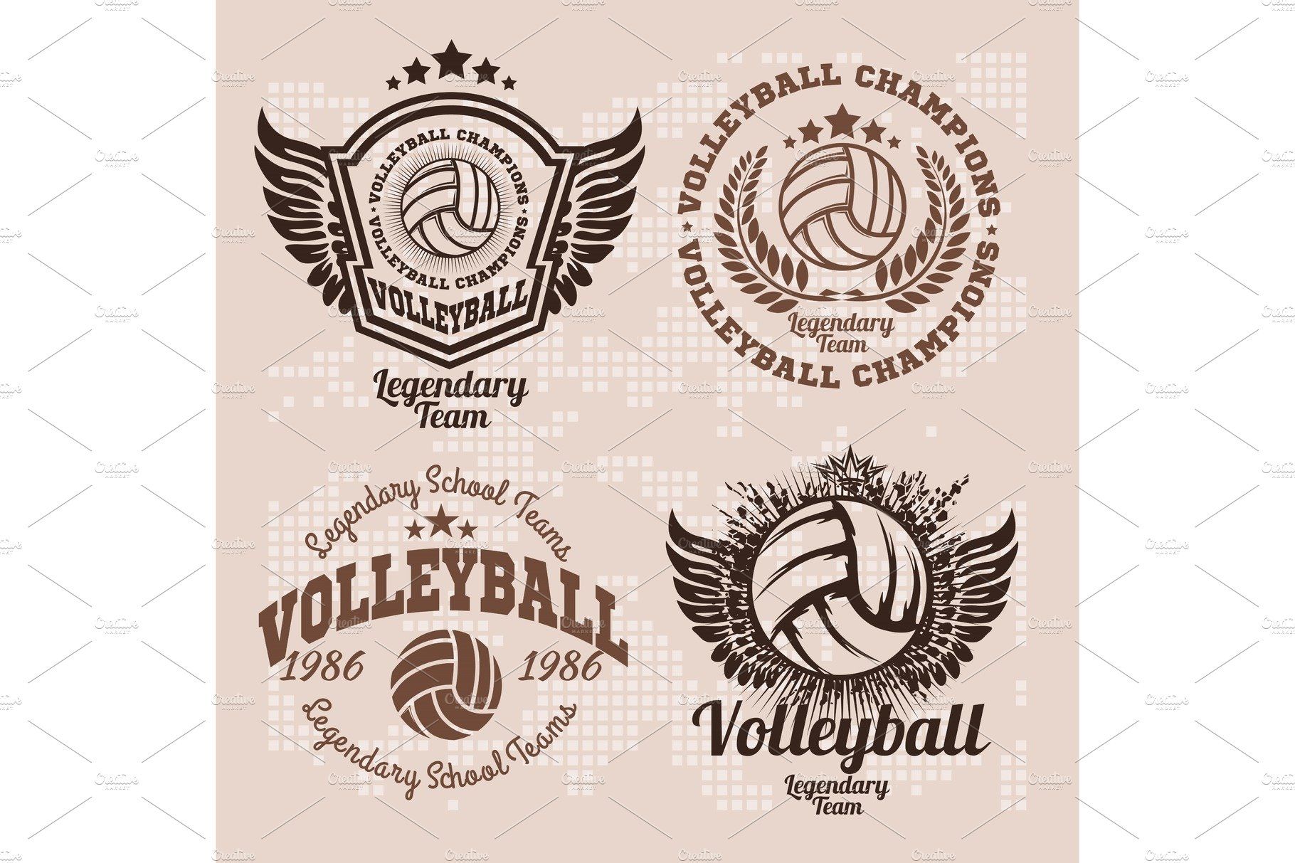 Set Badges Logos Volleyball Teams With Images Badge Logo Volleyball