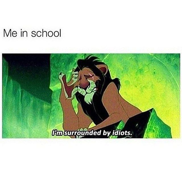 Best Funny School Funny School Memes Of The Day – 30 Pics Ep2 - Picterest Funny School Memes Of The Day – 30 Pics Ep2 - Picterest #schoolmemes #lol #memes #memesdaily #memesfunny #memestagram #memeshilarious #memesinstagram #funnymemes #funnyquotes #humor #humorquotes #humormemes 2 Best Funny School Funny School Memes Of The Day – 30 Pics Ep2 - Picterest Funny School Memes Of The Day – 30 Pics Ep2 - Picterest #schoolmemes #lol #memes #memesdaily #memesfunny #memestagram #memeshilarious #memesinstagram #funnymemes #funnyquotes #humor #humorquotes #humormemes 1