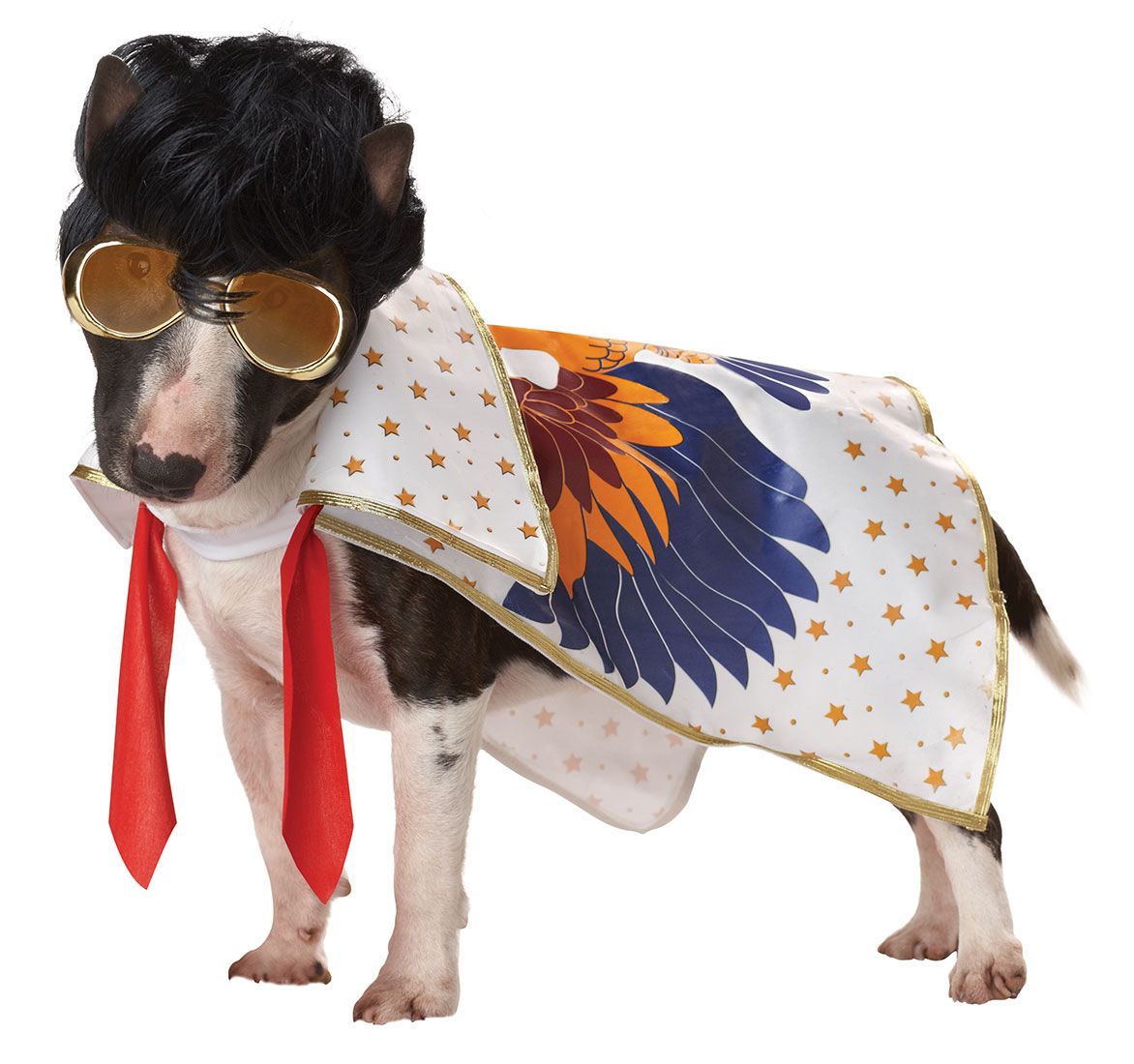 Funny Halloween Dog Costumes Sale Costumes Pet Halloween