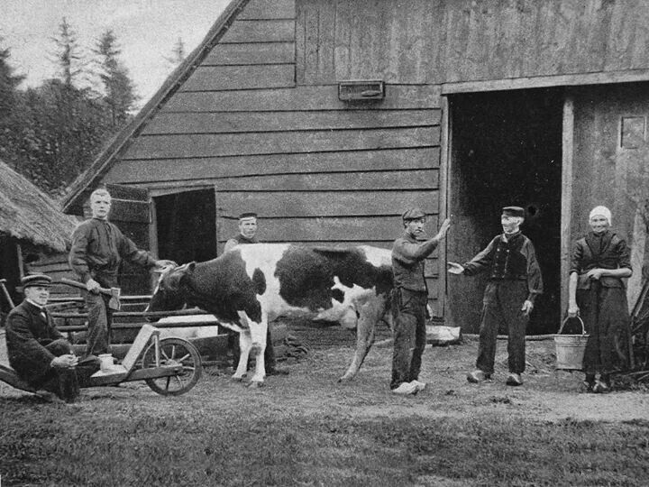 Handje Klap Hierden Met Afbeeldingen Geschiedenis Klederdracht Holland
